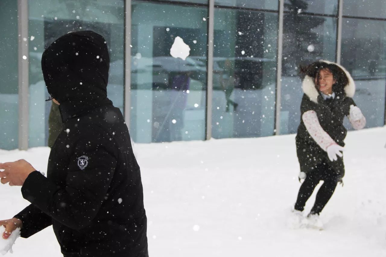 必发·bifa(中国)唯一官方网站